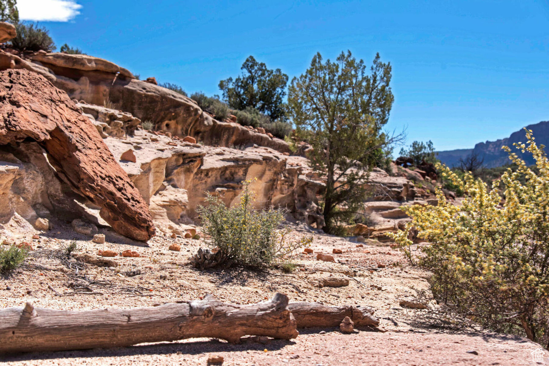 ANASAZI PLATEAU - Land