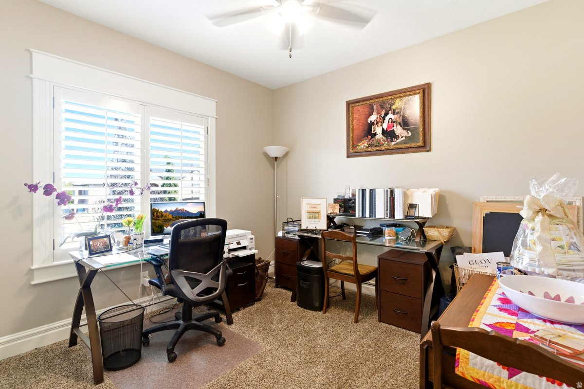 WINDSOR FARMS - Residential