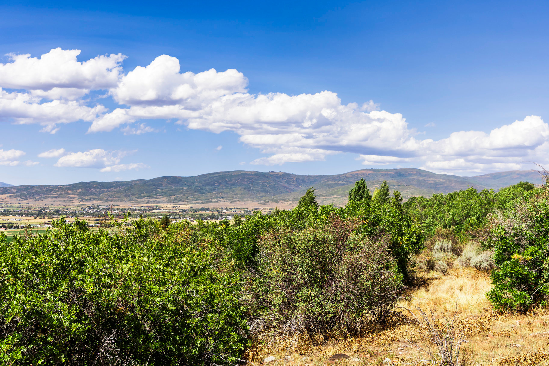 KAMAS EAST - Land