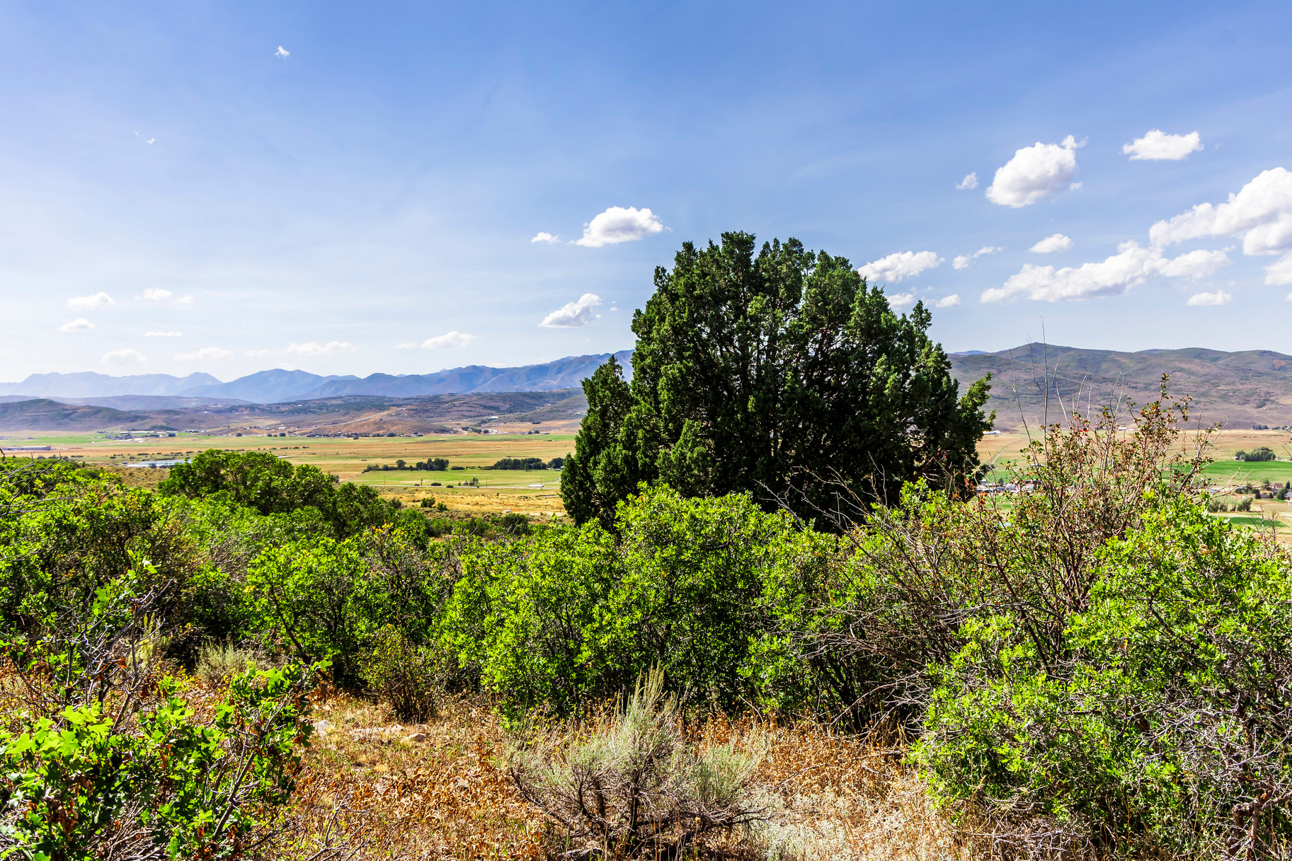 KAMAS EAST - Land