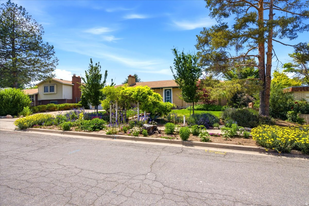 WESTWARD TERRACE SUB - Residential