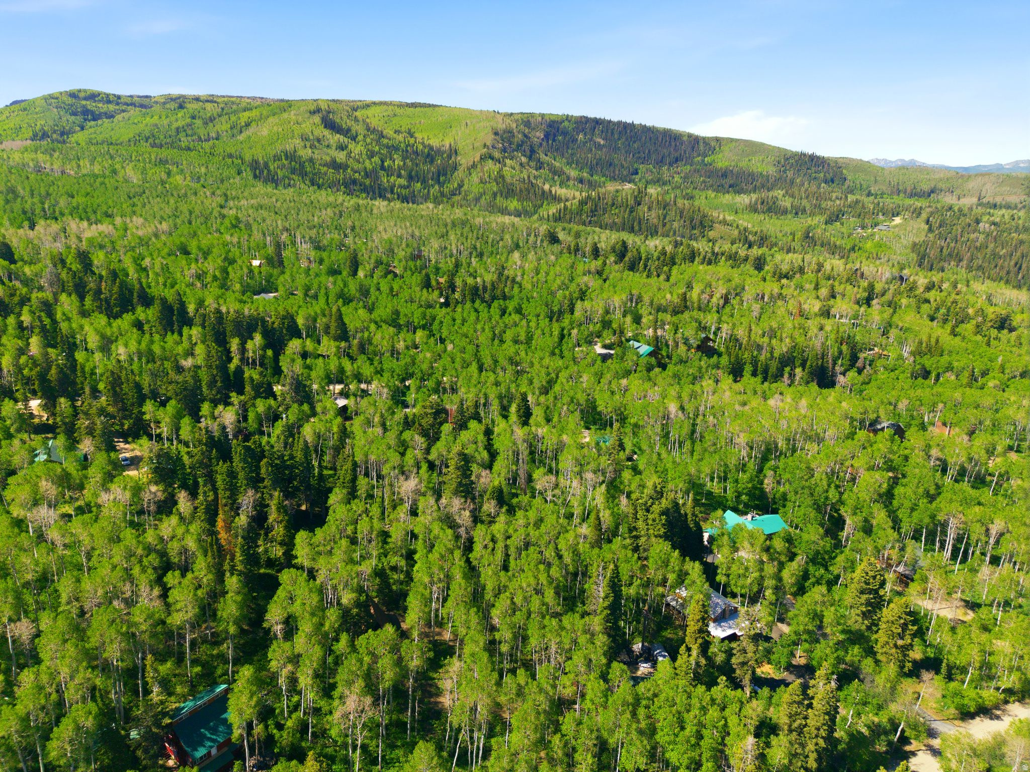 TIMBERLAKES AREA - Residential