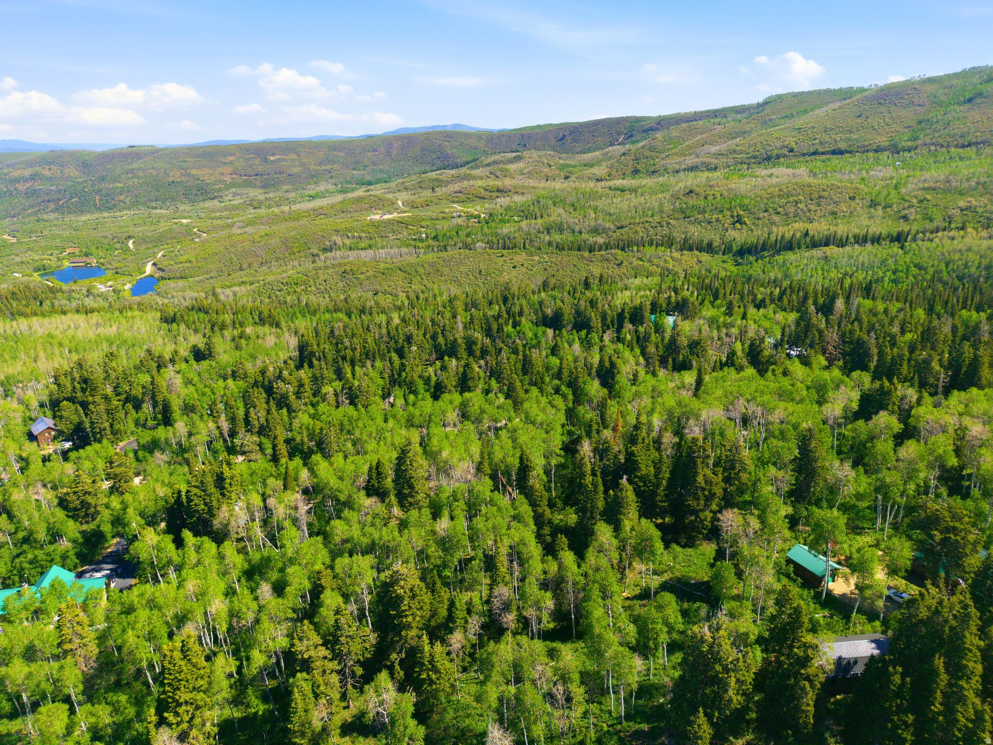 TIMBERLAKES AREA - Residential