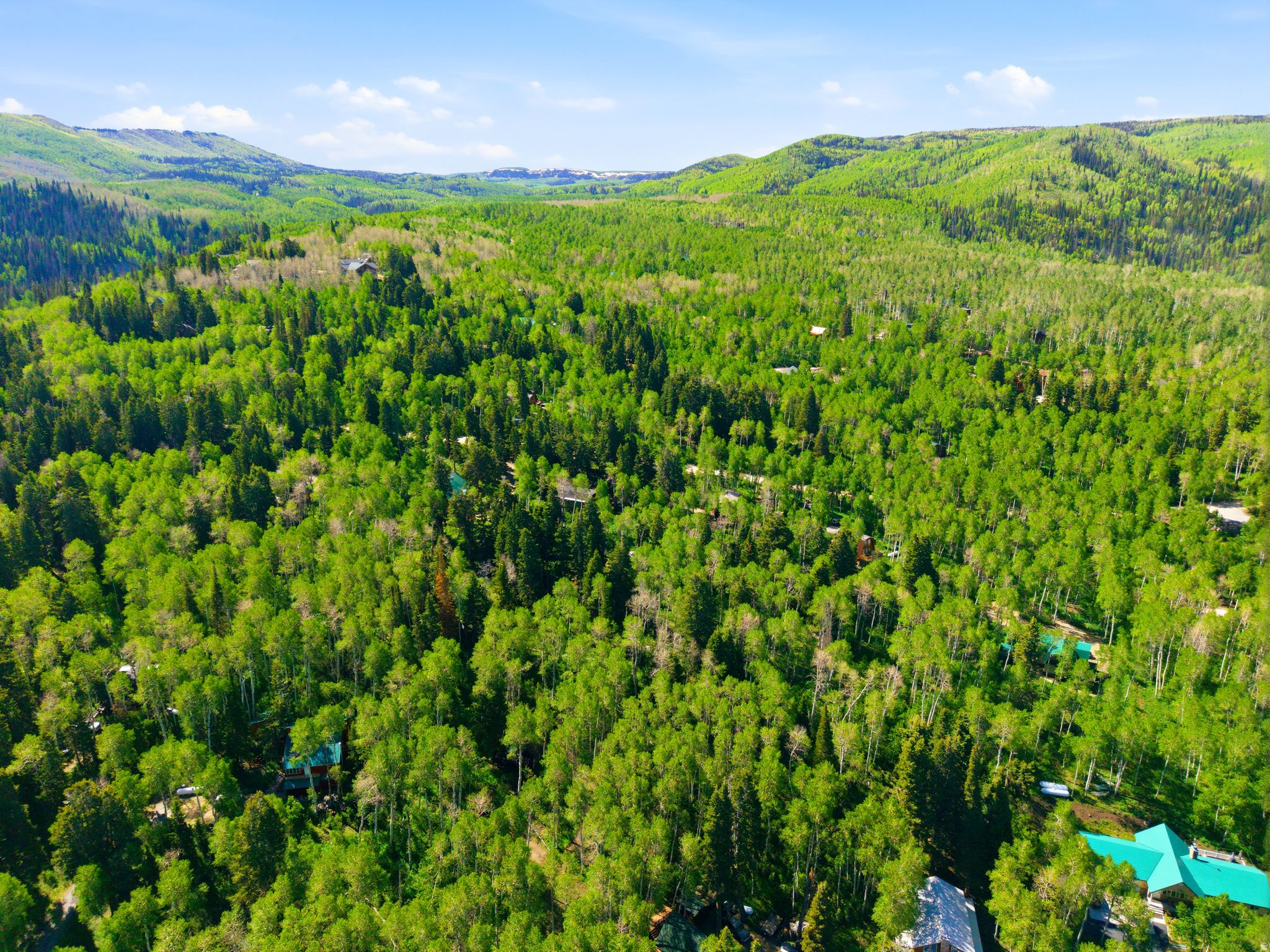 TIMBERLAKES AREA - Residential