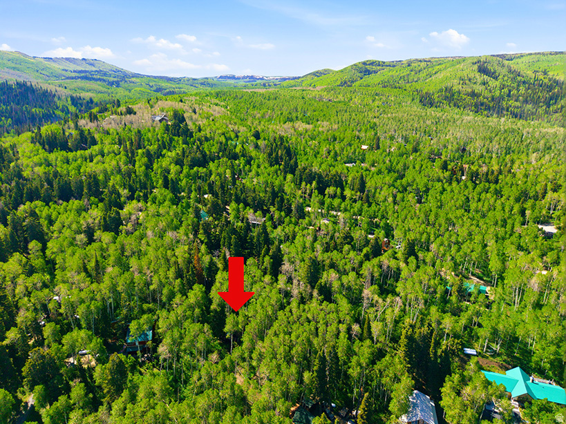 TIMBERLAKES AREA - Residential