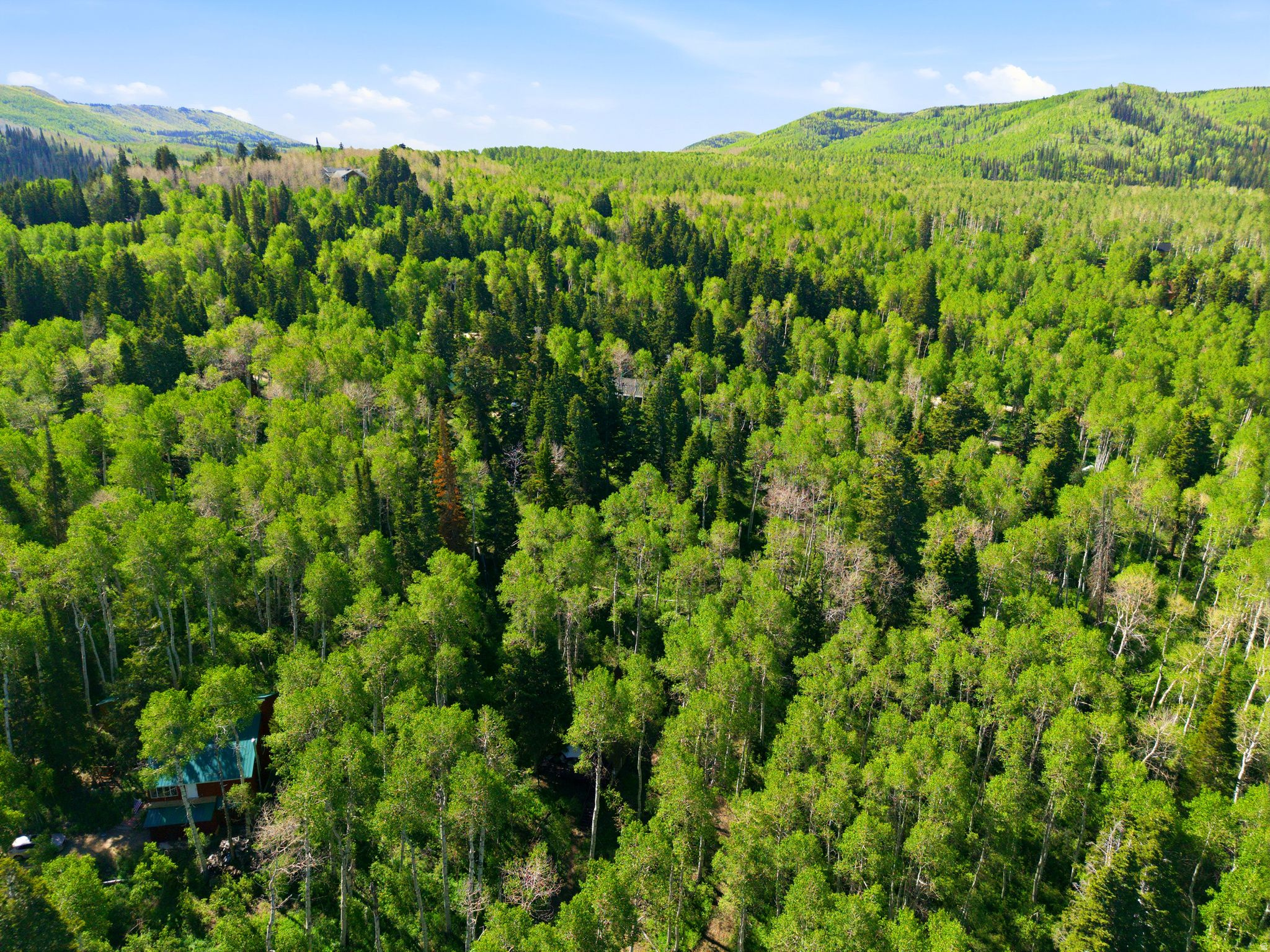TIMBERLAKES AREA - Residential