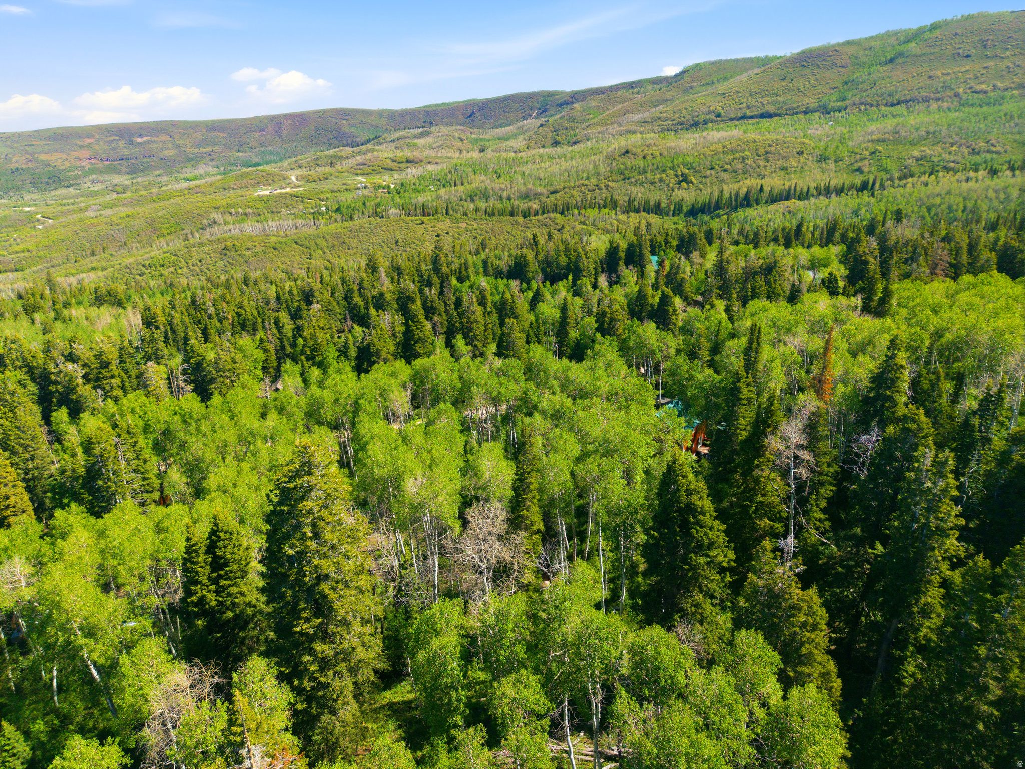TIMBERLAKES AREA - Residential