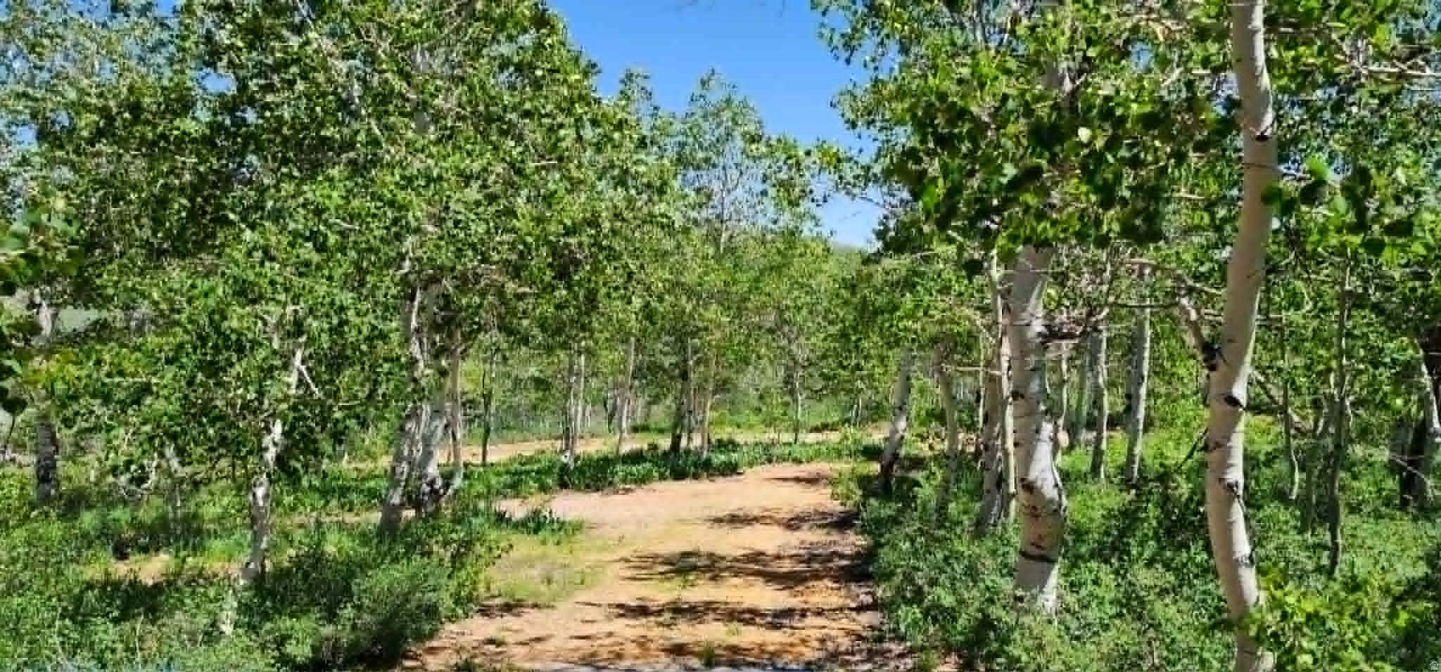 SUNRIDGE - Land