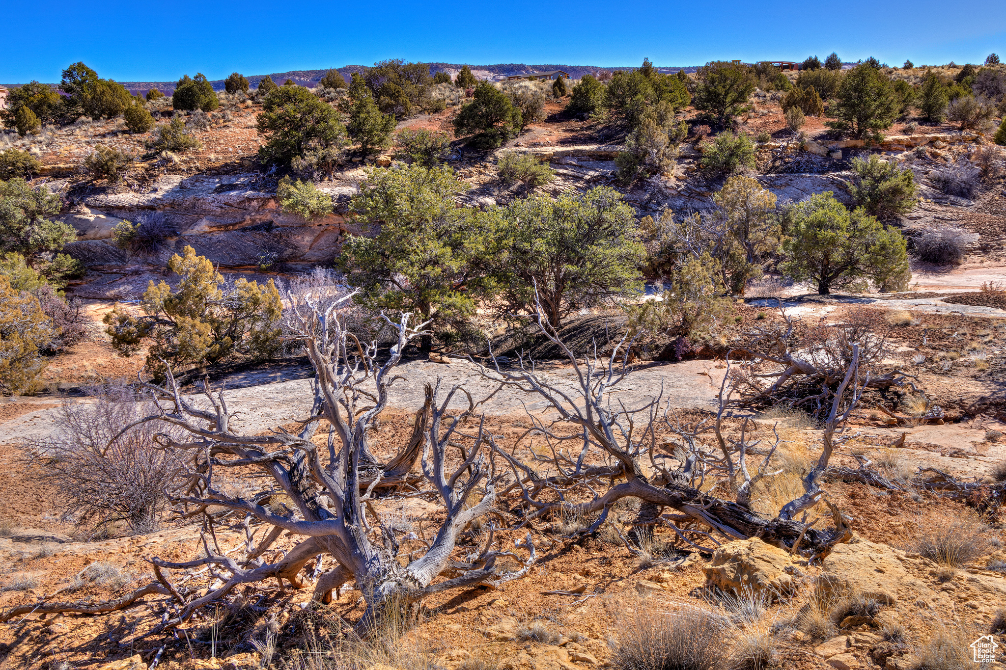 WILSON ARCH RESORT - Land