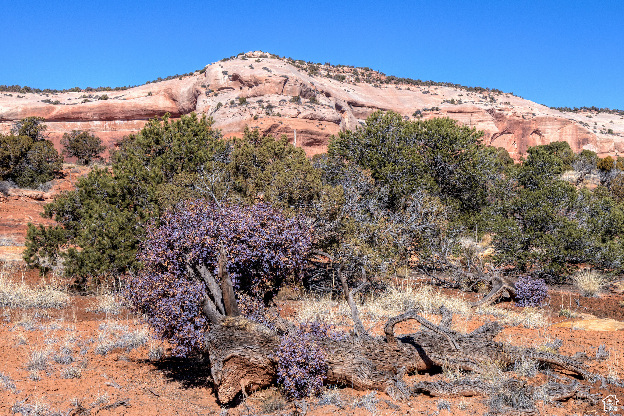 WILSON ARCH RESORT - Land