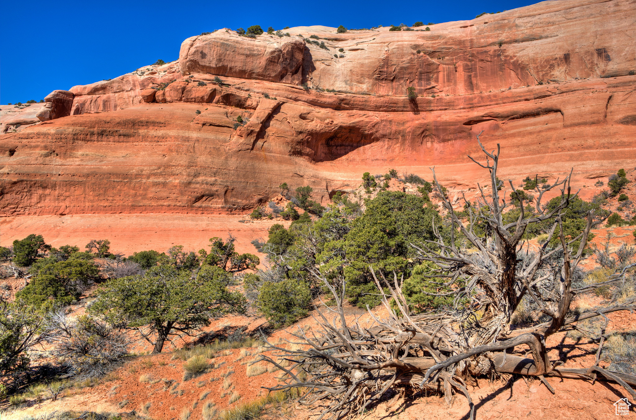 WILSON ARCH RESORT - Land