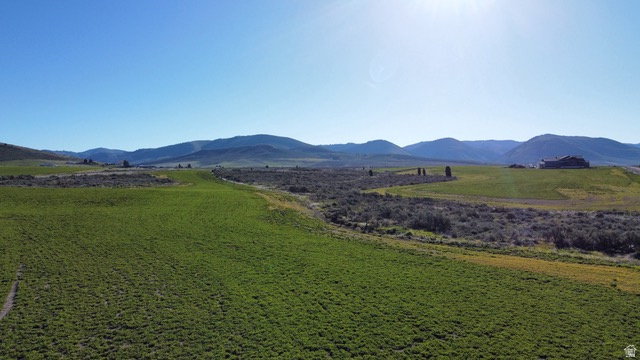 BARLEY MEADOWS - Land
