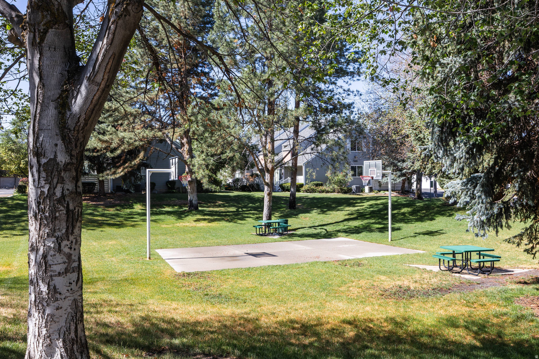 ESSEX COURT - Residential