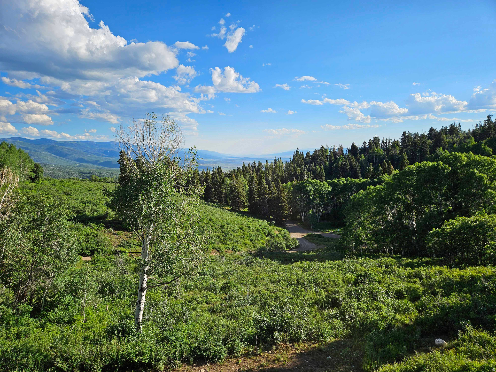 SKYLINE MOUNTAIN RES - Residential