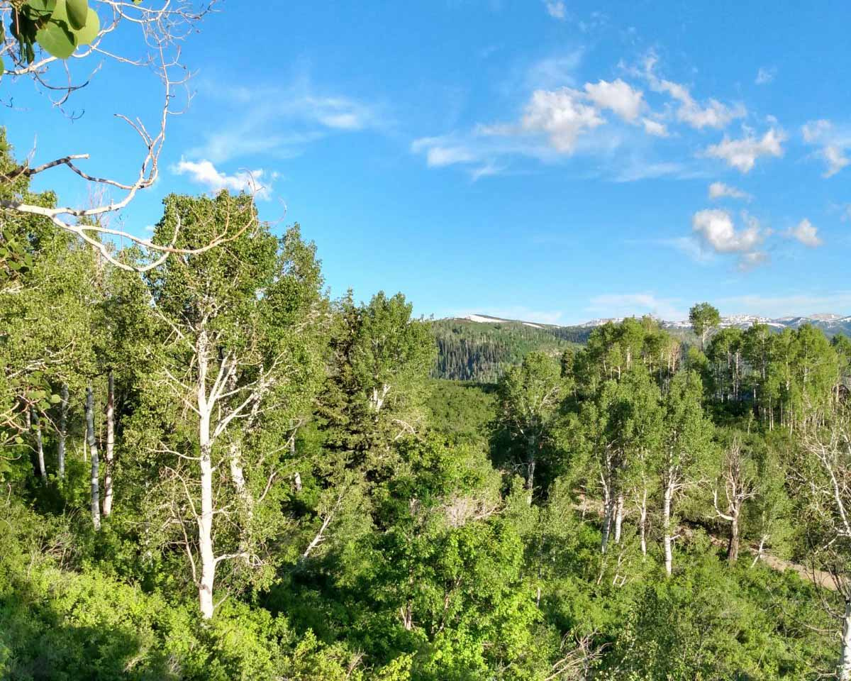SKYLINE MOUNTAIN RES - Residential