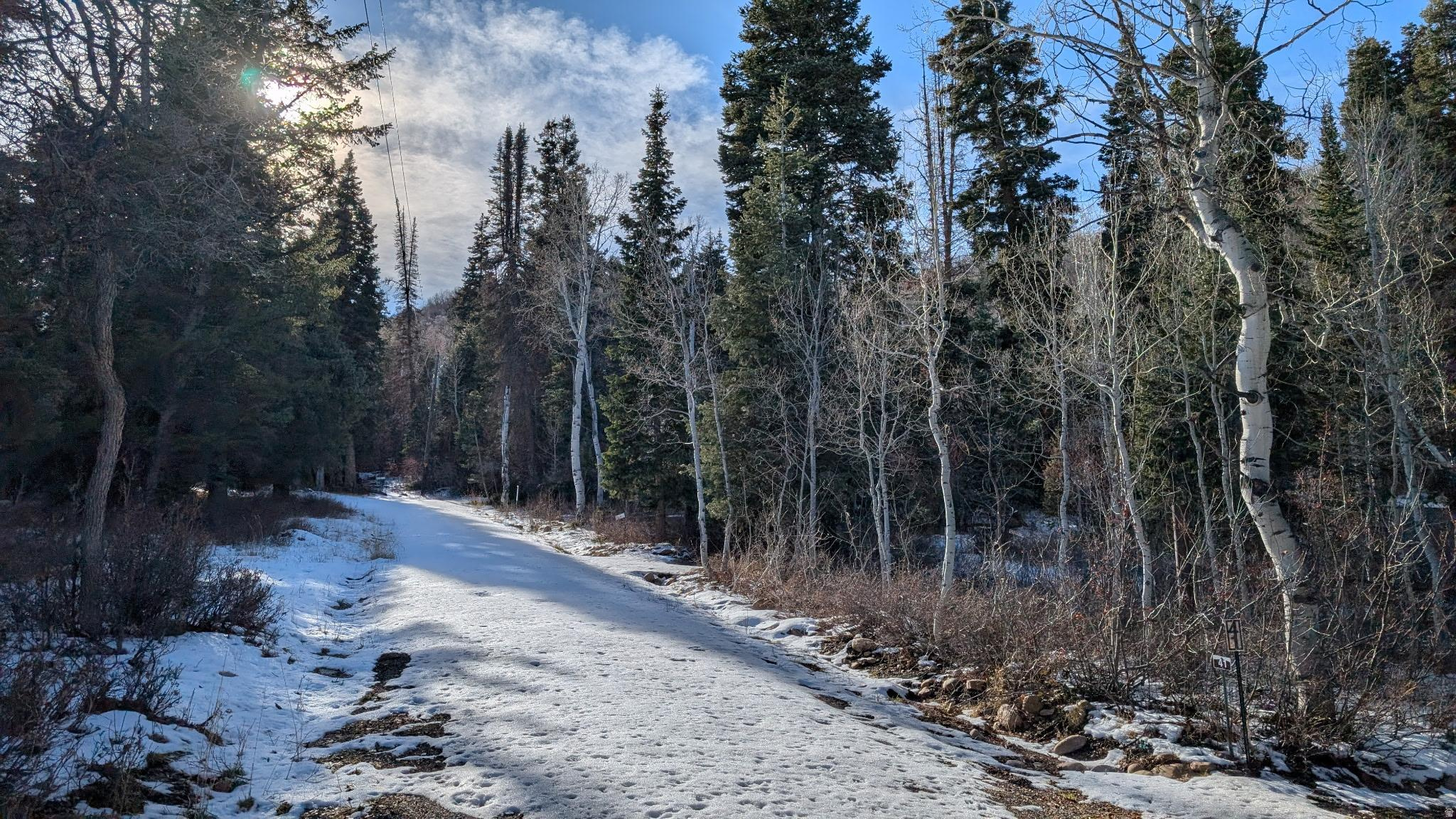 CAUSEY ESTATES - Land