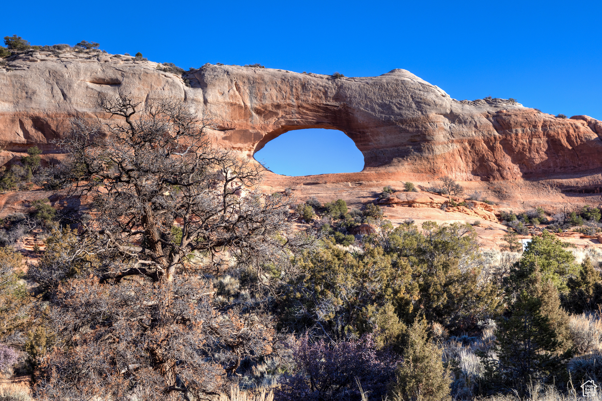 WILSON ARCH RESORT - Land
