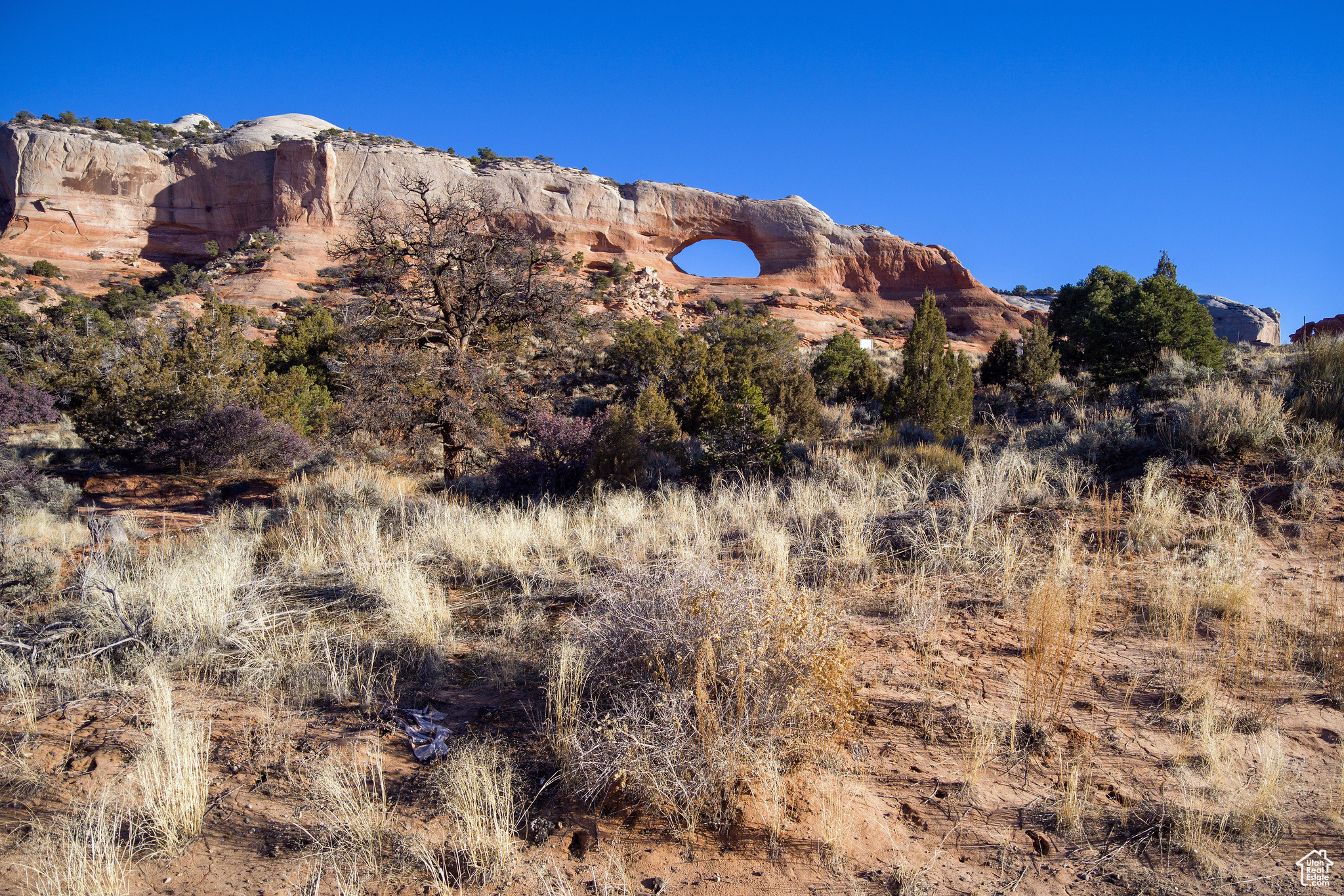 WILSON ARCH RESORT - Land