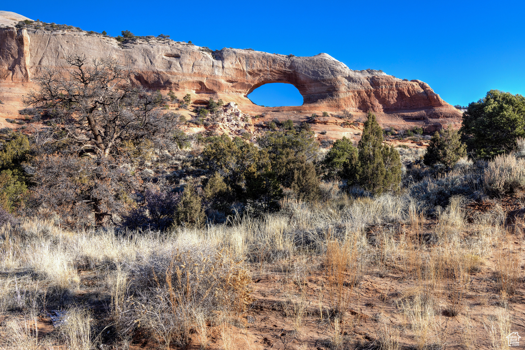 WILSON ARCH RESORT - Land