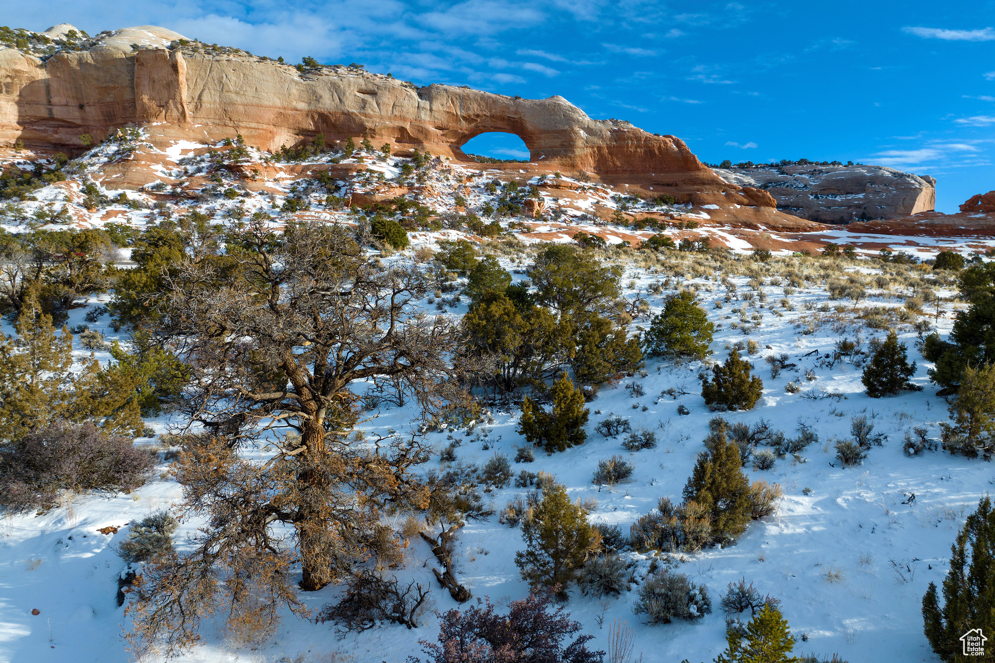 WILSON ARCH RESORT - Land