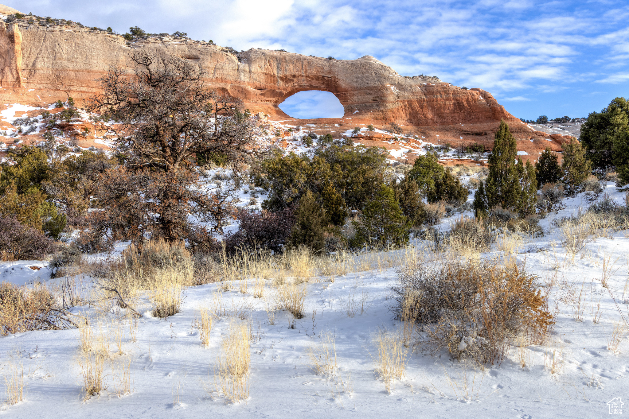 WILSON ARCH RESORT - Land