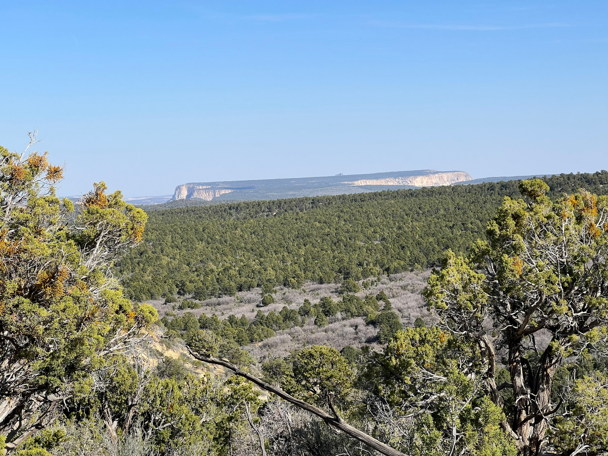 Welcome to Deer Springs Ranch (DSR), a rare community of 300, 20-acre lots in the heart of Southern Utah's wild beauty-where adventure, convenience, and community converge in perfect off grid living. Lot 38 & Lot 39 are available separately though the seller would prefer to sell them together for an unmatched 40-acre retreat.   DSR offers an inviting atmosphere among a community of outdoor enthusiasts, homesteaders, and those seeking to just get away, making it easy to forge lasting friendships and share in unforgettable moments beneath vast desert skies.   Don't let the HOA scare you away.  Owners enjoy exclusive access to ten HOA-owned cabins and three HOA maintained RV pads.  Each member has access to 2 weeks a year at a discounted rate that you can use while you build or explore. You can also invite guests to share your DSR experience.   Though seasonal, access is ensured by well-maintained roads, and the HOA provides water hauling facilities for your convenience until you can put in a well or connect to a community water source. Deer Springs Ranch is surrounded by thousands of acres of protected BLM land and the lush expanses of Dixie National Forest, offering unparalleled privacy and a gateway to endless hiking, horseback riding, and wildlife watching. Just a short drive away, Bryce Canyon National Park awaits with its iconic hoodoos and breathtaking vistas-a world-renowned destination for hiking, stargazing, and photography.  Tropic reservoir and the Grand Staircase Escalante National monument are also only a short drive away.  The lots come ready with pads for trailers, so you can start experiencing the land immediately. Wake each morning to sweeping views and radiant sunrises that paint the horizon in brilliant colors. Whether you're seeking a tranquil retreat, a launching point for adventure, or a lasting investment, Deer Springs Ranch delivers unmatched value and promise. Secure your spot in this vibrant community-where nature, comfort, and connection meet.