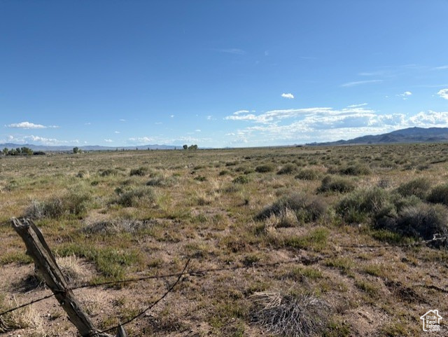 HORN SILVER - Land