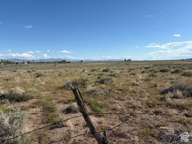 HORN SILVER - Land