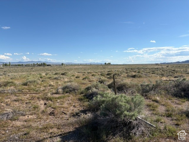 HORN SILVER - Land