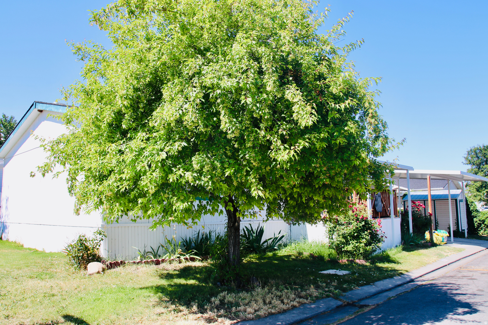 VORWALLER PARK - Residential