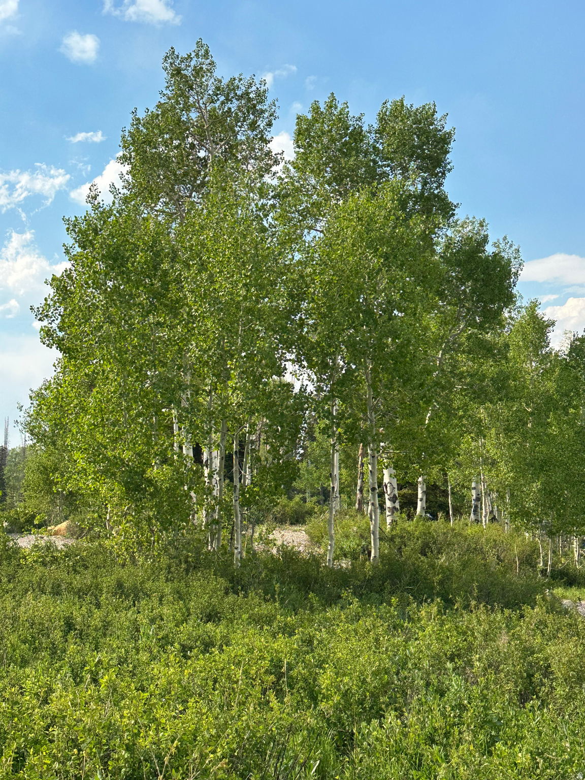 FAIRVIW LAKES - Land