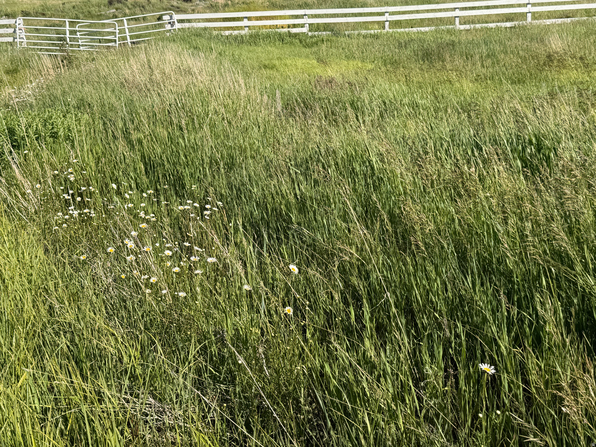 SAGES CREEK PARTNERS LLC  SUBDIVISION - Land