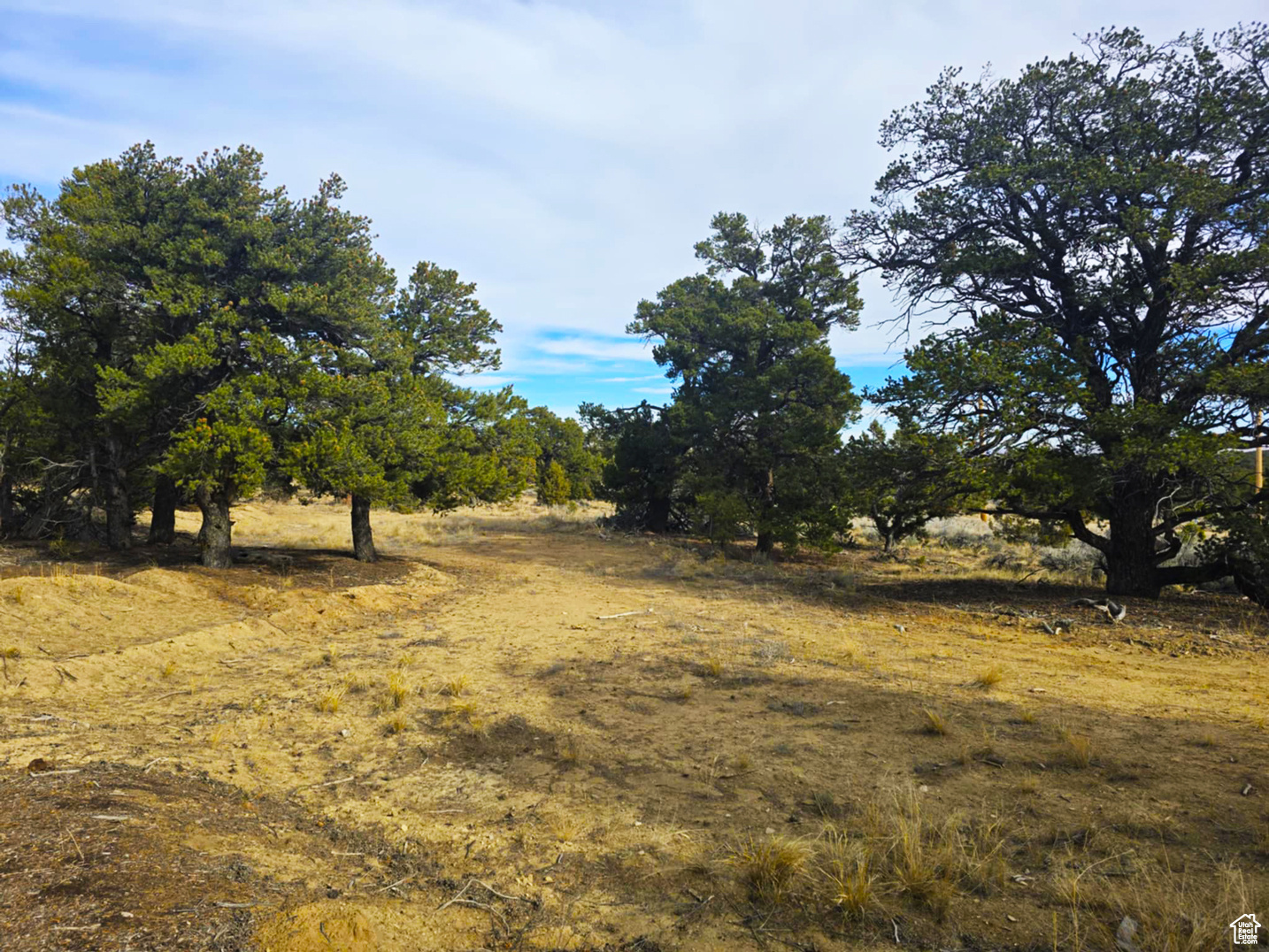 Come and explore this breathtaking and perfect spot for recreation or residential use! Surrounded by mature trees, with a driveway and pad for camping or ATVs. Coordinates! 40.190236, -110.636758 or copy link! https://maps.app.goo.gl/pYv3G3AmKikuweq59