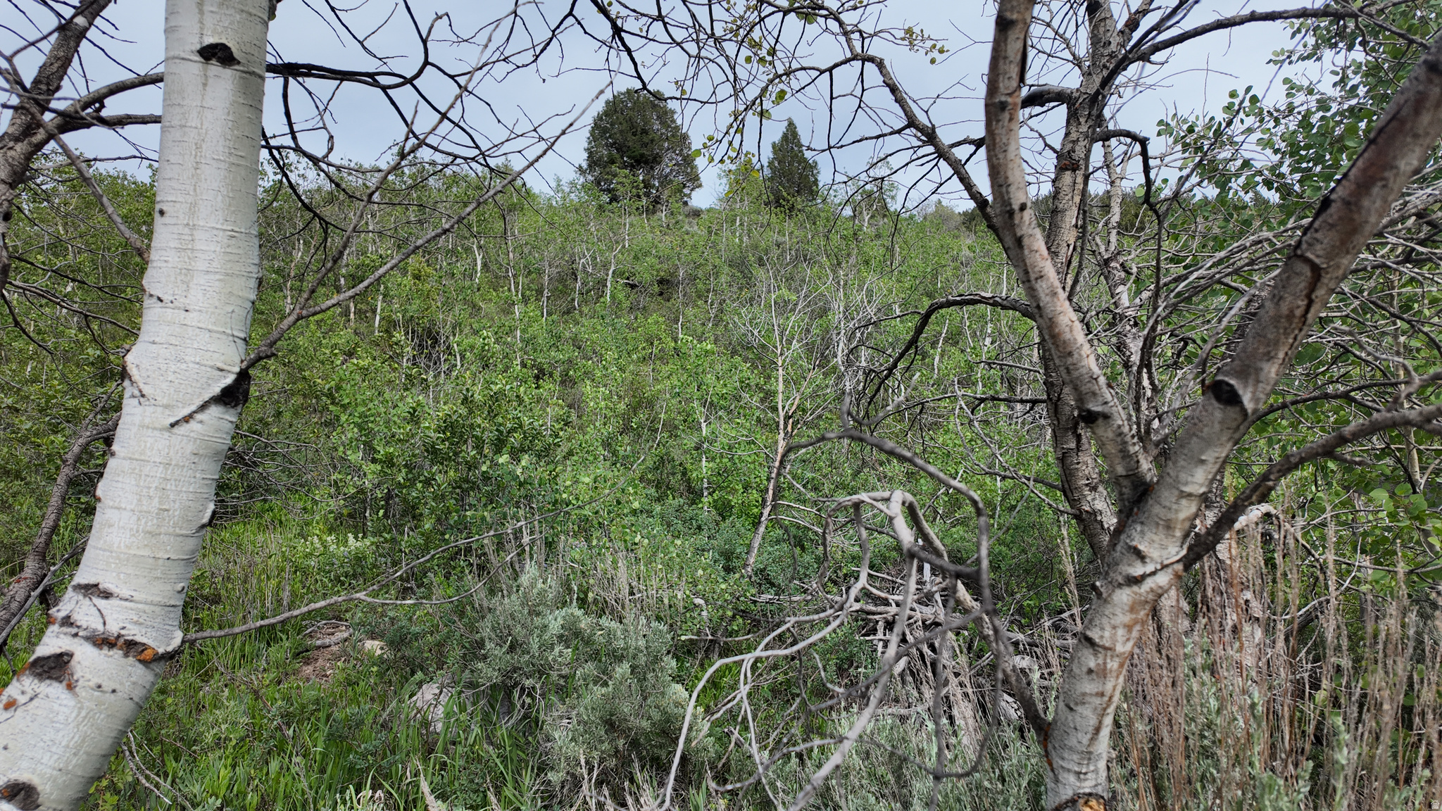 SAMAK HILLS ADDITION - Land