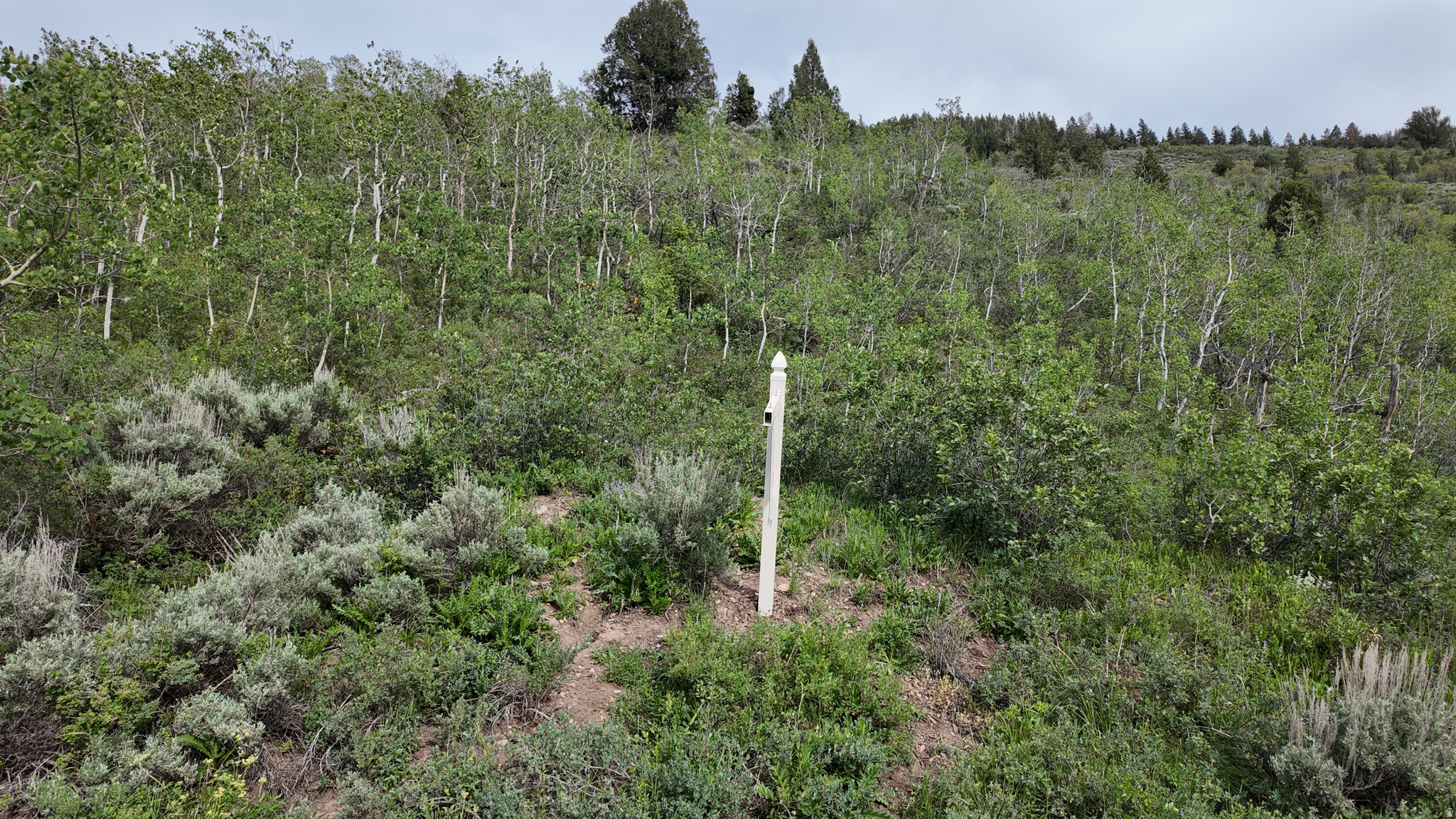 SAMAK HILLS ADDITION - Land