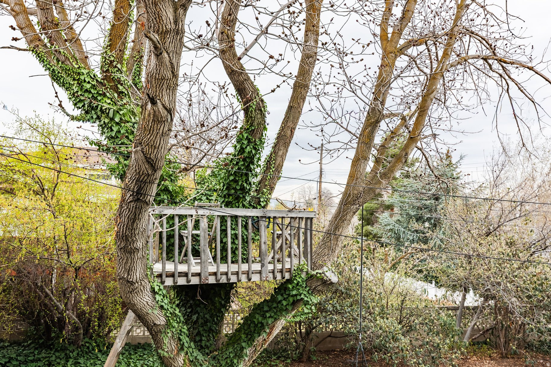 EAST OLYMPUS HEIGHTS - Residential