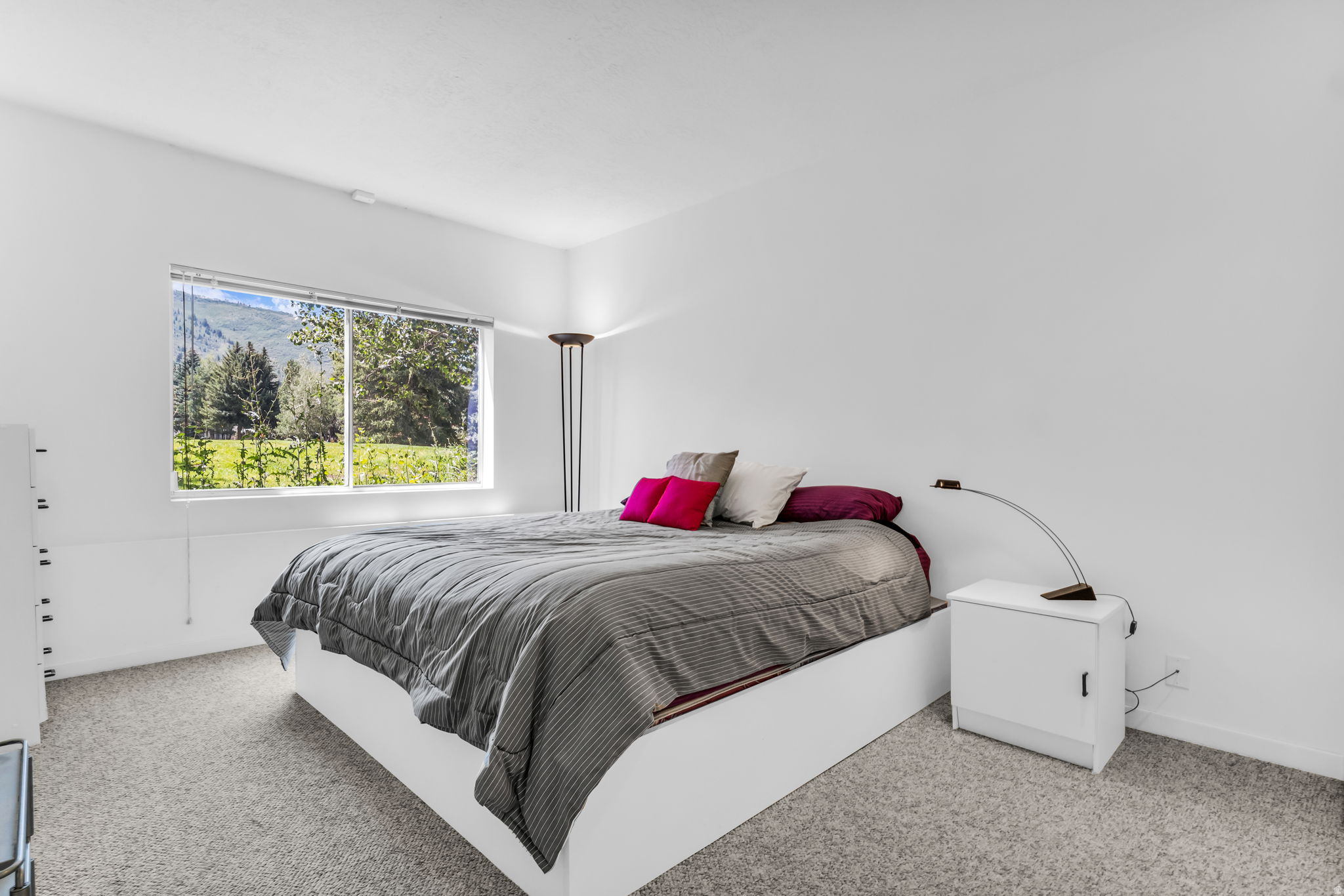 THAYNES CANYON SUB - Residential