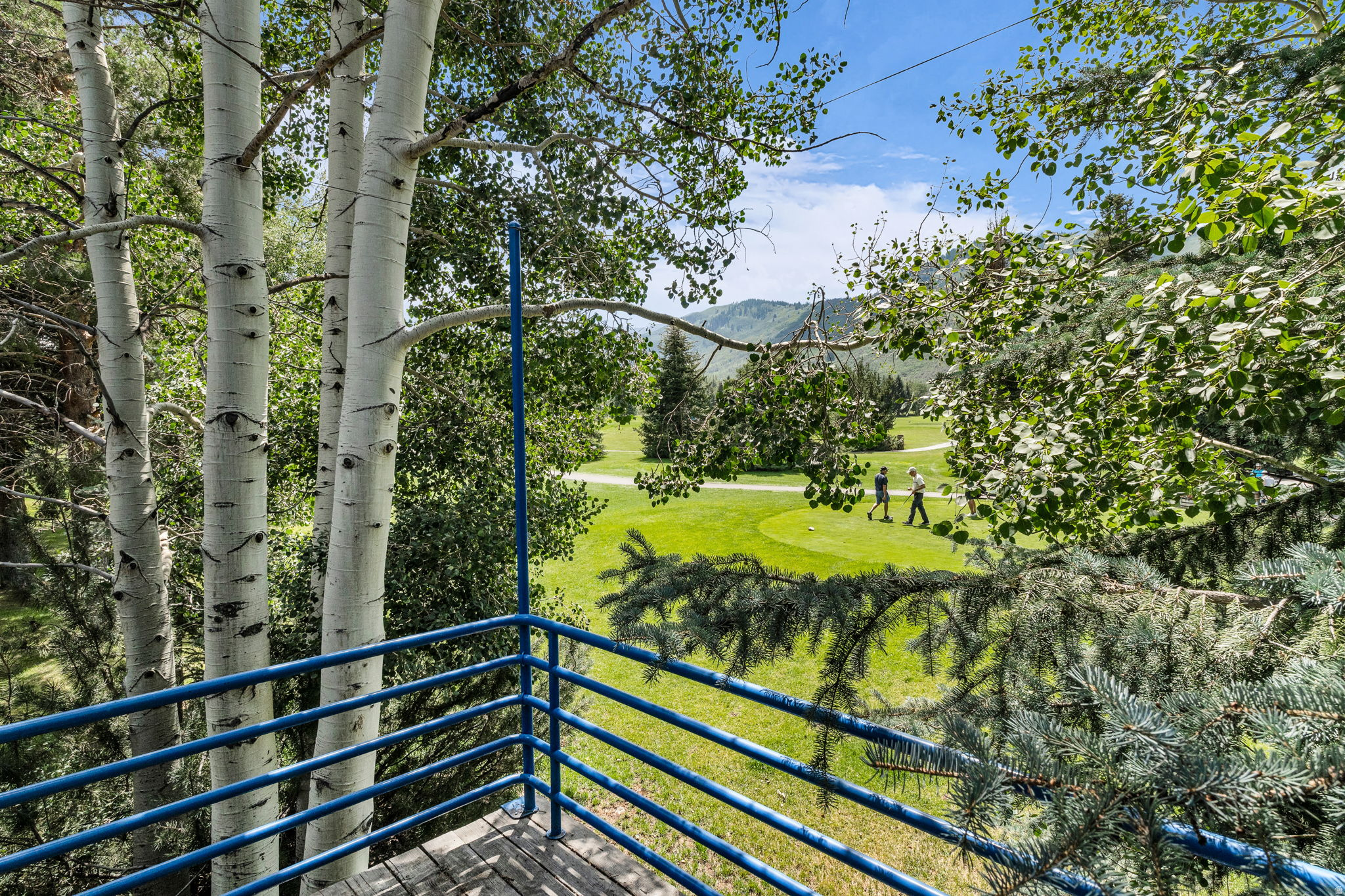 THAYNES CANYON SUB - Residential