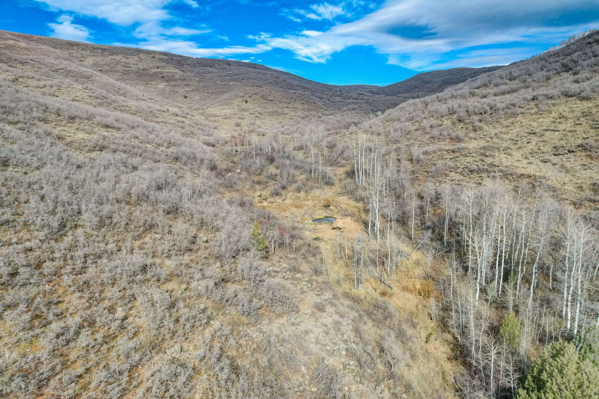 DEER MOUNTAIN RESORT - Land