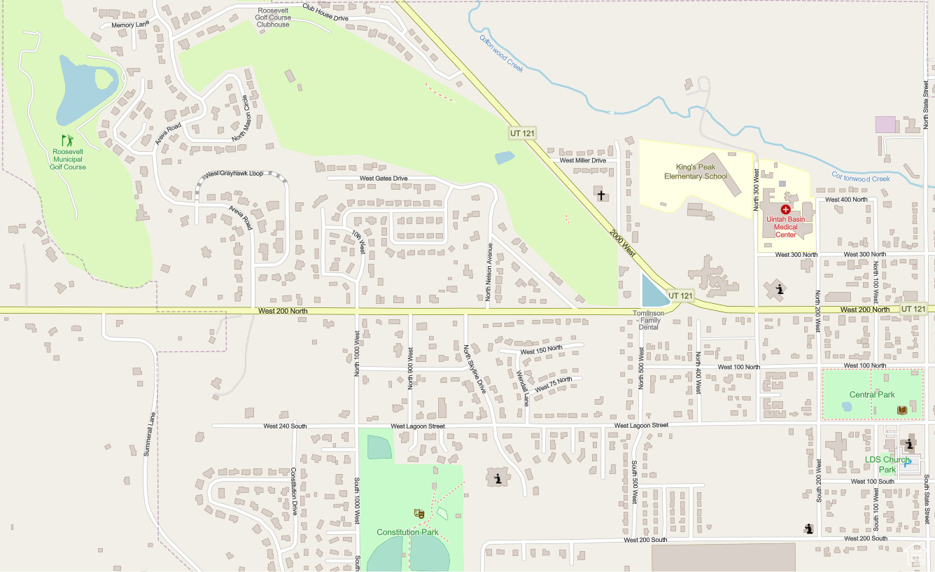 Main image without alt text
