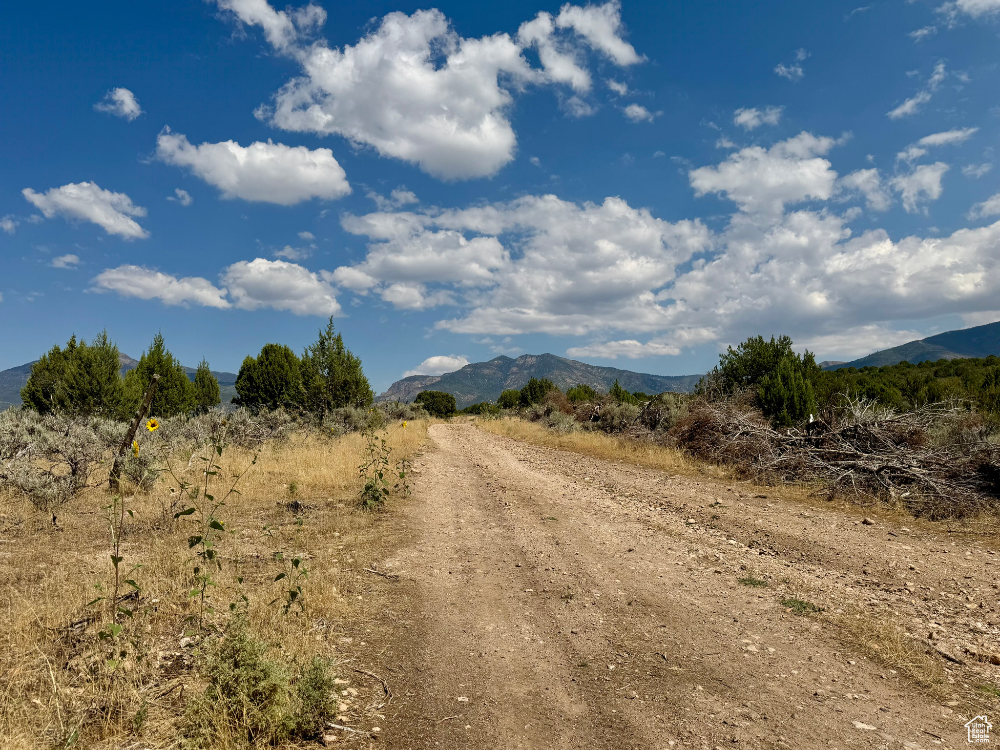 8 acres near Sand Rock Ridge Road. Easy year-round access through a 66' easement which is currently a dirt road, but may be improved in the future. Additional contiguous parcels available.  Underground water rights can be purchased for $20,000 per acre foot if you are looking to drill a well. Located just on the outskirts of the city limits (red dashed line in picture is city limits). Great location for cabin or recreational get away. Wildlife always seen on the property. Has direct access to the State Lands to the east. Maps and address are approximate. 33' easement runs along the east side of the property for access to the properties to the south.