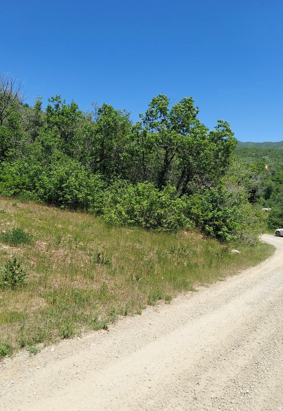 UPPER WHITTEMORE - Land