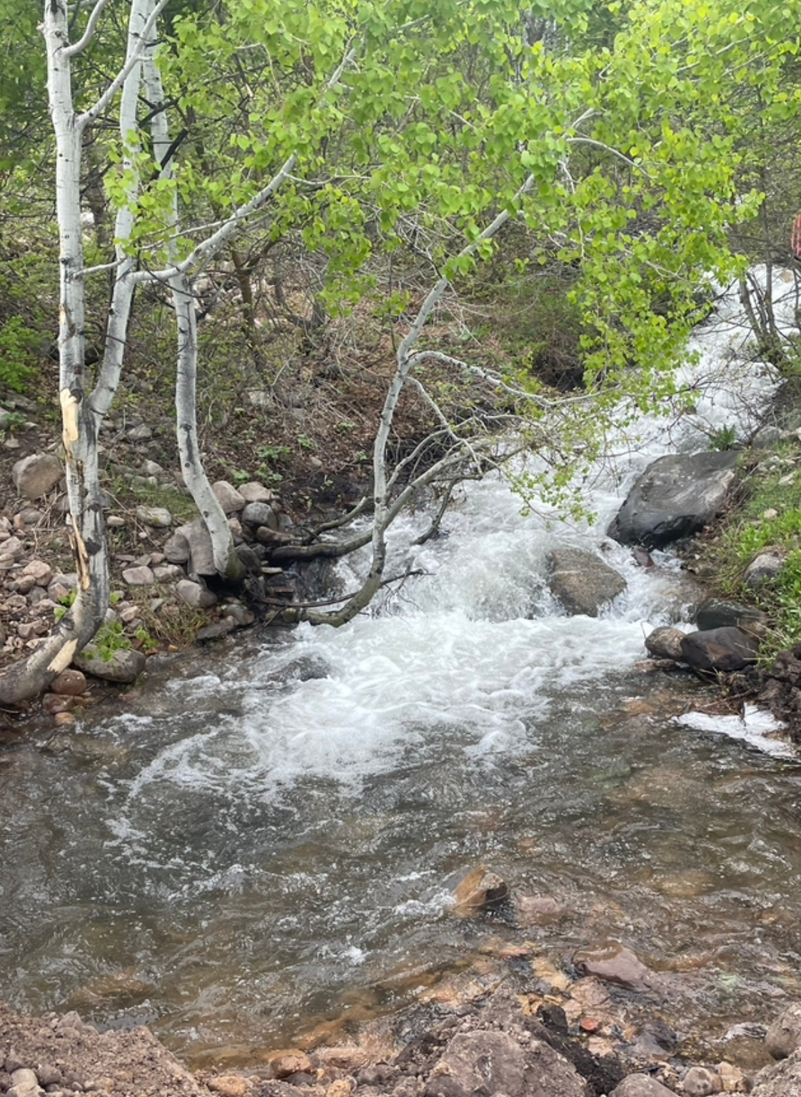 Beautiful STREAM on this lot! And DON'T BE FOOLED! This lot is smaller than many lots in Upper Whittemore - BUT... most of the land is useable and the lot is SUPER EASY to get to! It's in the lower part of the community and... NEVER FEAR - it has a STRAIGHT, EASY driveway access. NO CRAZY GRADES OR HAIRPIN TURNS HERE! There are several flat spots to BUILD your cabin or use for CAMPING. Water spigot and fire pit! Incredible VIEWS and surrounded by TREES! It just doesn't get any better than this! This lot is only accessible year round with snow mobiles during the winter. You must be accompanied by a Realtor to access the community.
