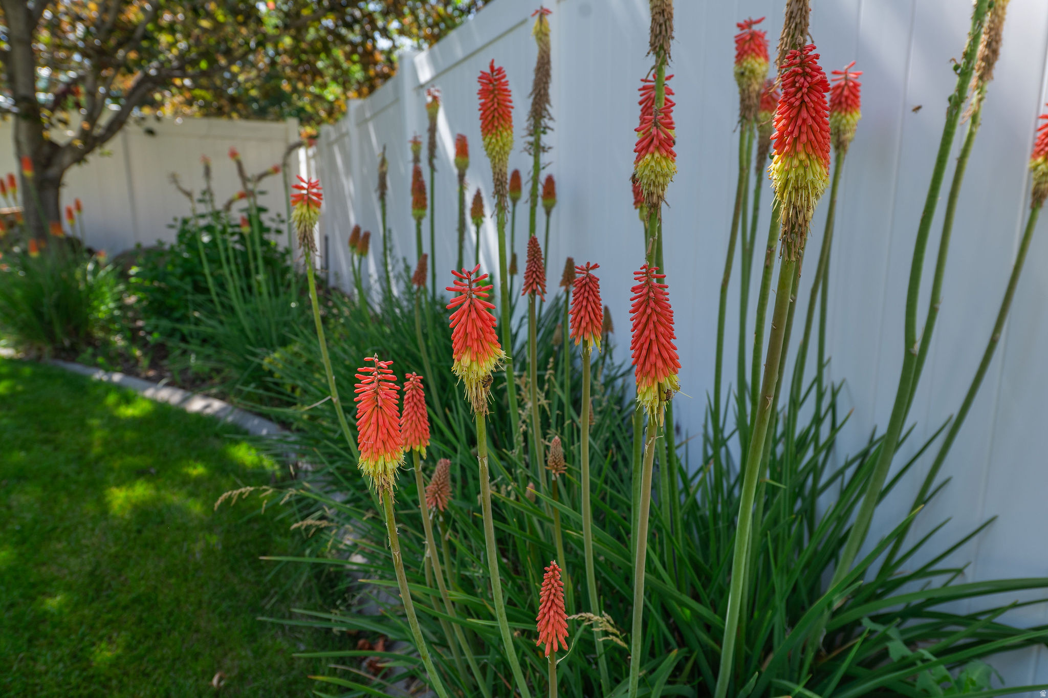 CREEKSIDE ESTATES - Residential