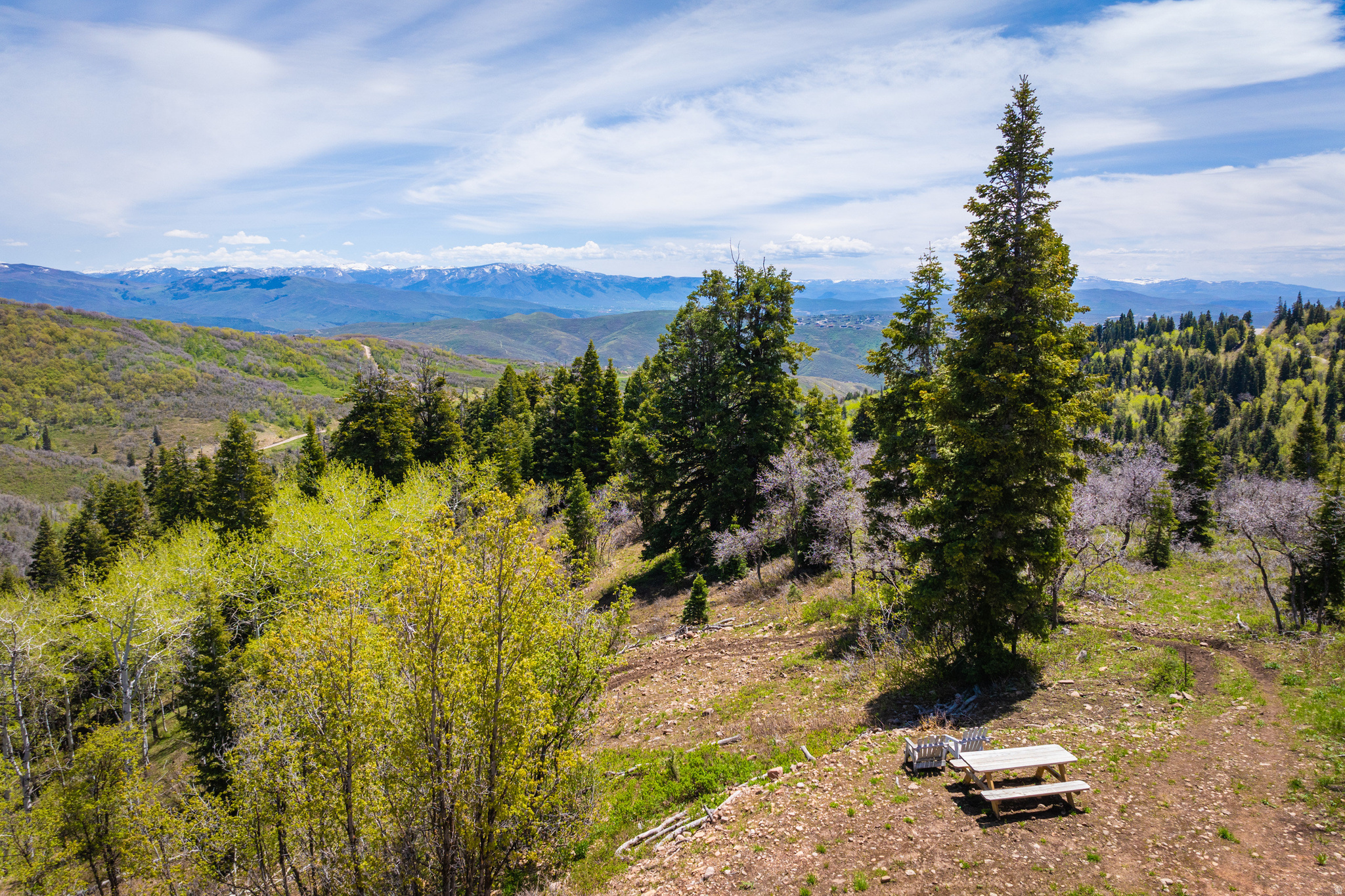 PINE MEADOW RANCH - Residential