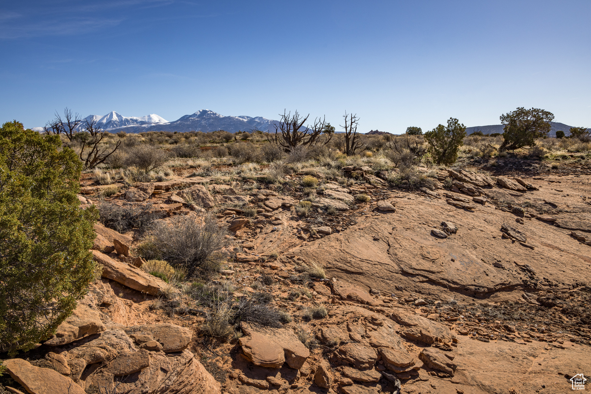 FLAT IRON MESA - Land