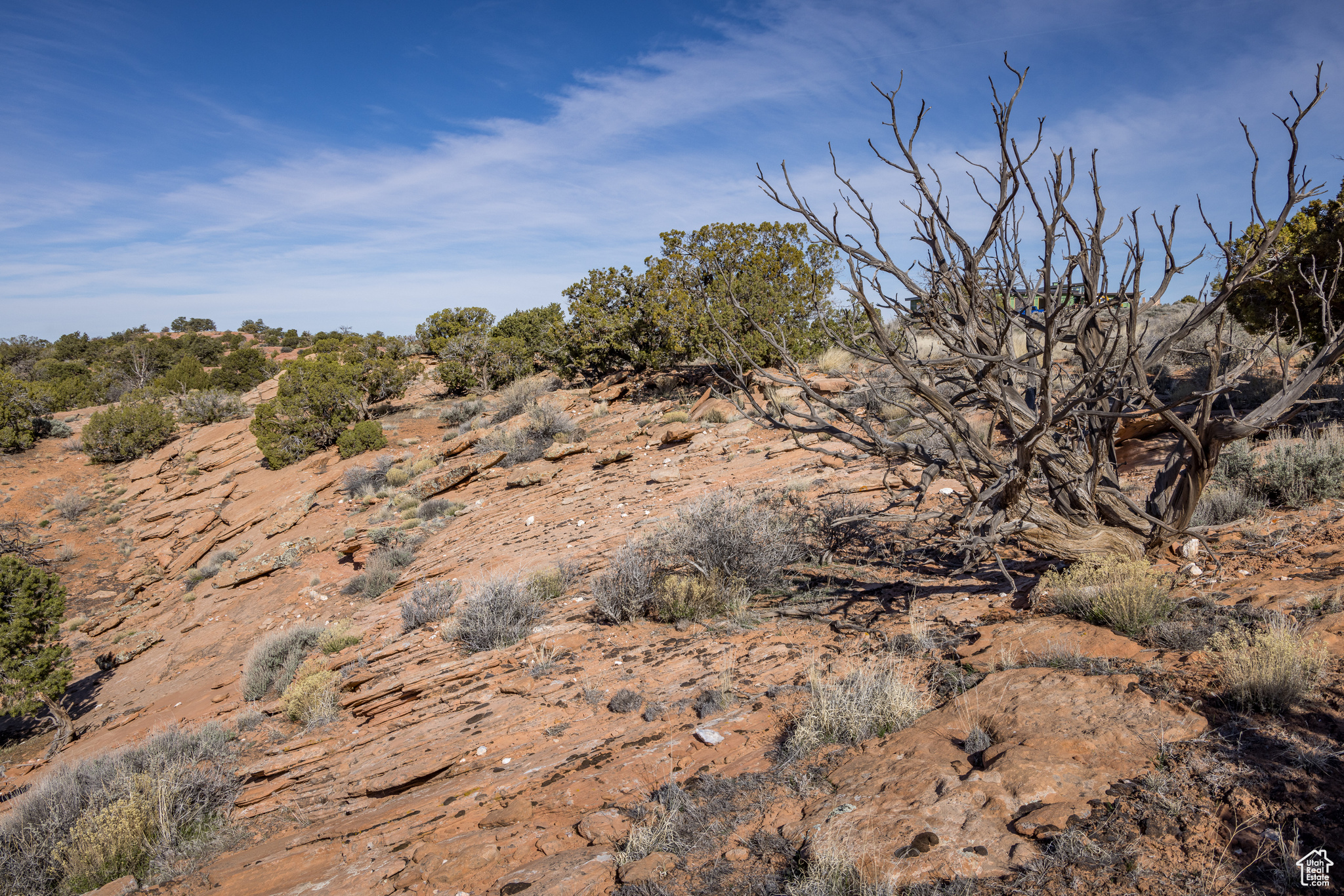 FLAT IRON MESA - Land