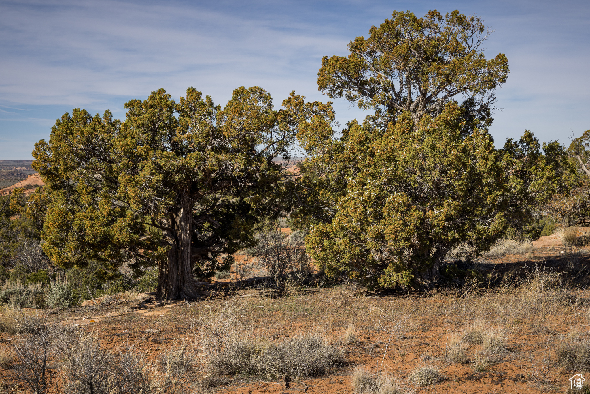FLAT IRON MESA - Land