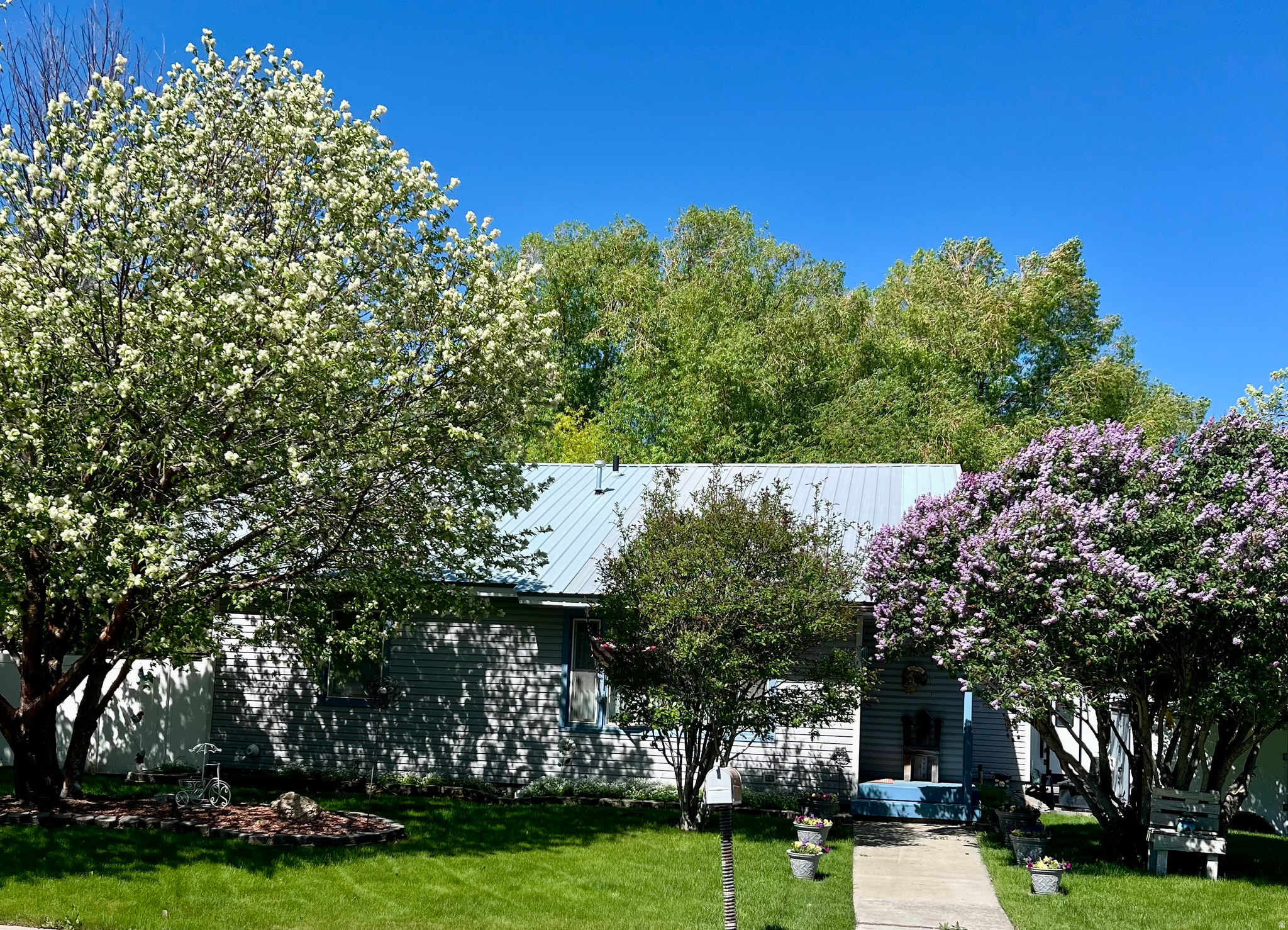 LOVERS DELIGHT - Residential