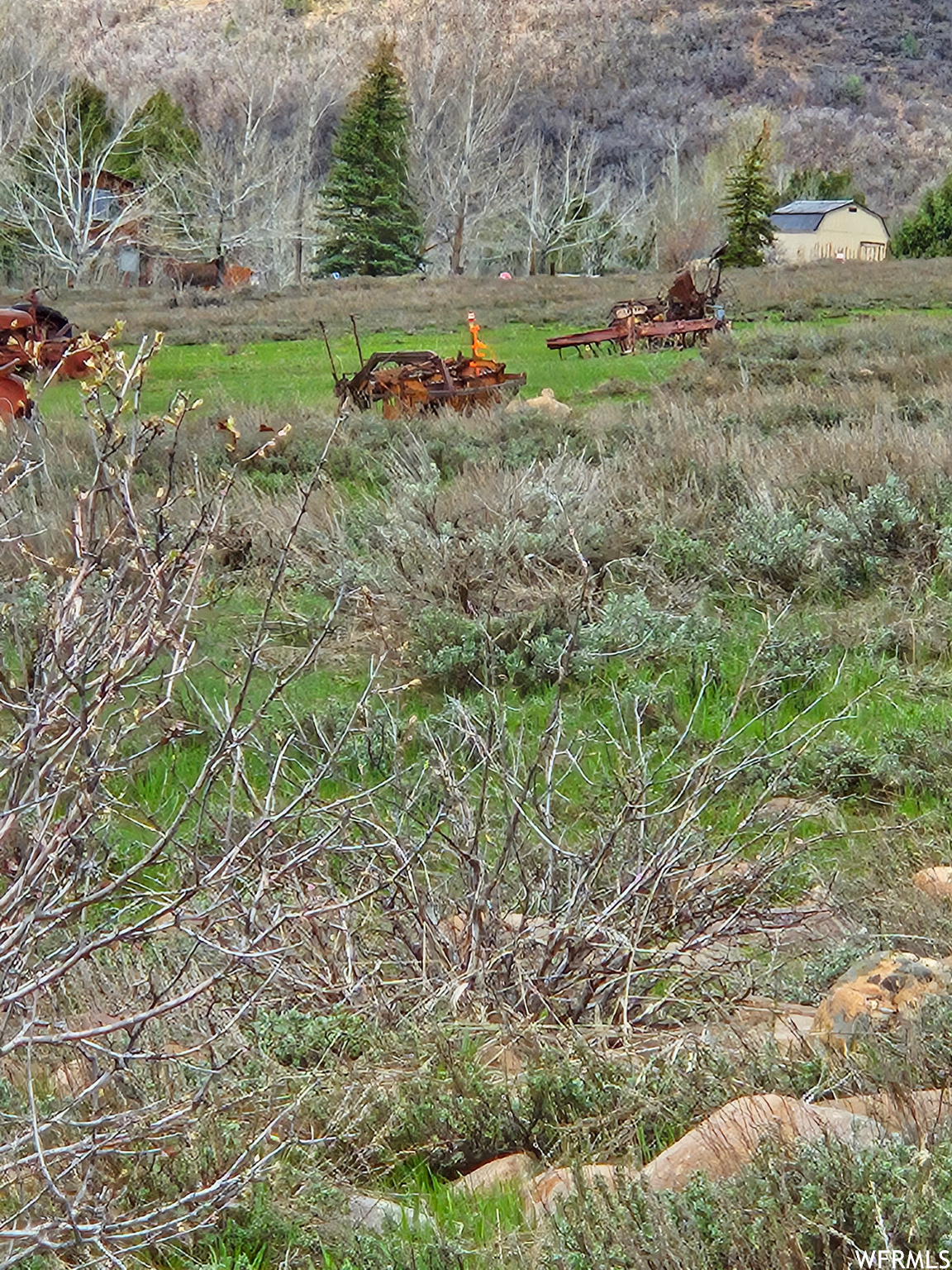 EVERGREEN PARK - Land